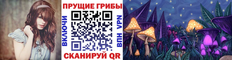 Галлюциногенные грибы Cubensis  Комсомольск-на-Амуре 